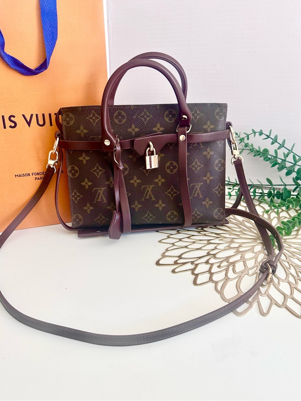 Louis Vuitton Clutch with Bag case
